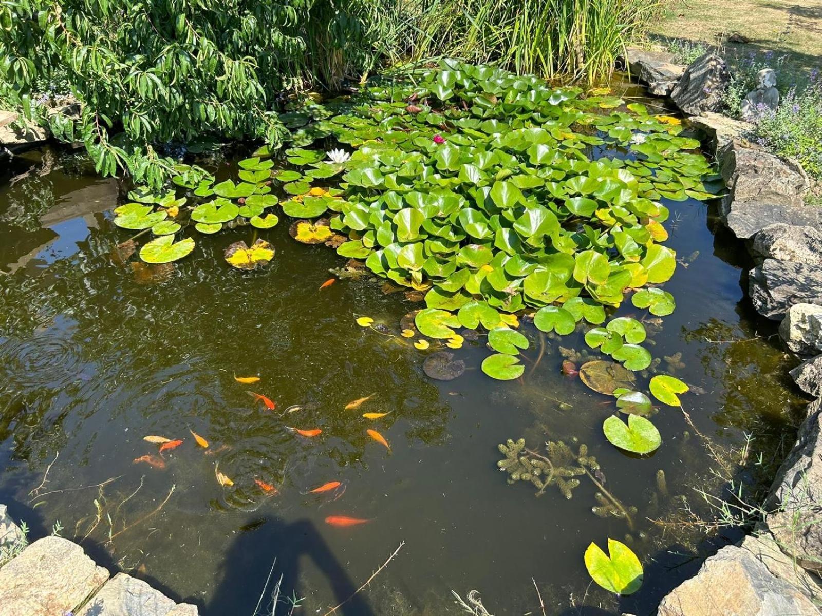 2 Chez Tabuteau Bed & Breakfast Plaisance  Dış mekan fotoğraf